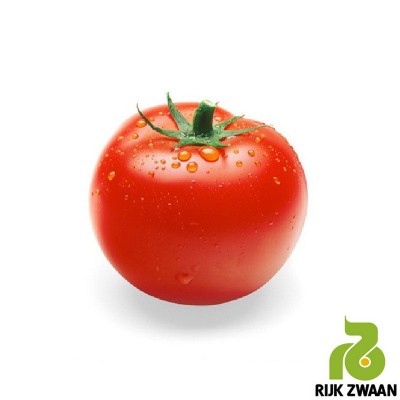 Семена томата Зульфия F1/Zulfia RZ (100 семян), Rijk Zwaan